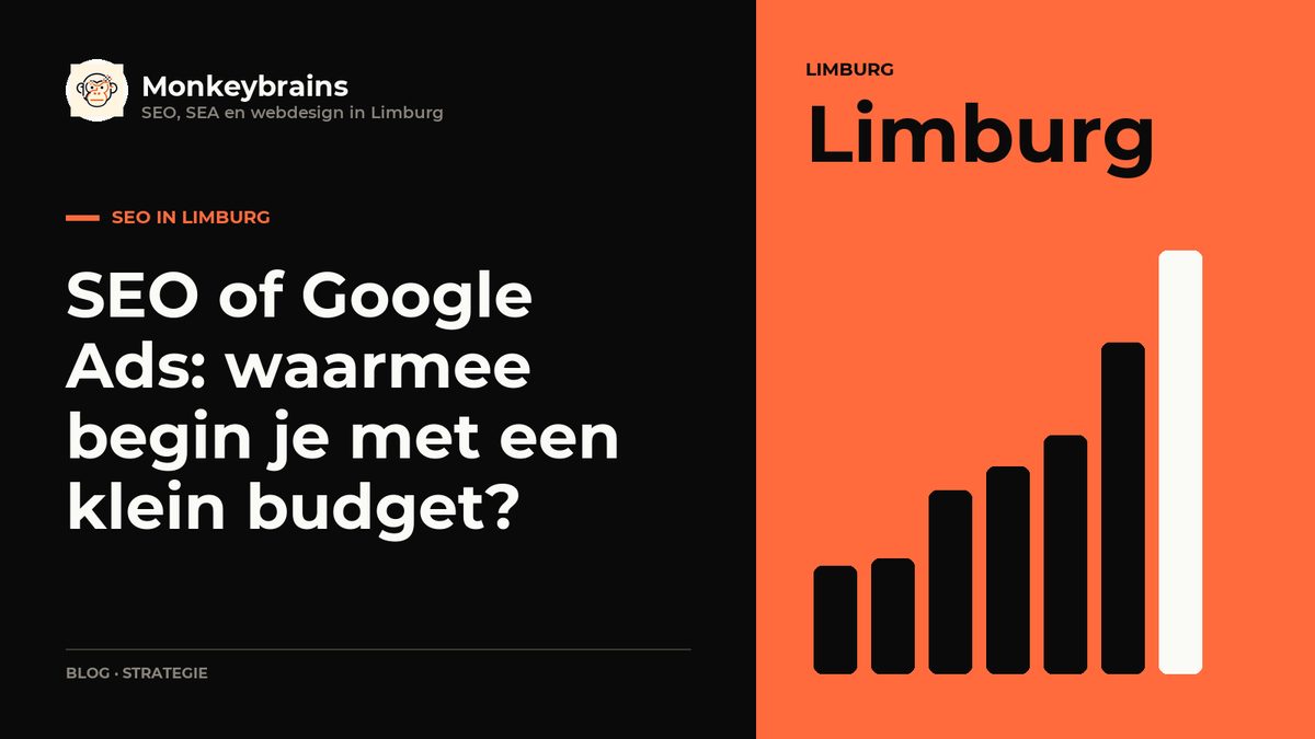 SEO of Google Ads: waarmee begin je met een klein budget?