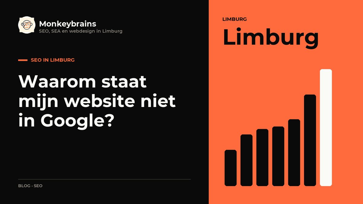 Waarom staat mijn website niet in Google?